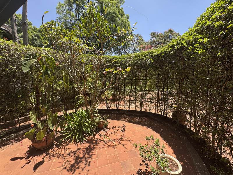 Serengeti Guest Cottage - Gallery 8